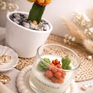 Bougie 𝐃𝐄𝐒𝐄𝐑𝐓 𝐁𝐋𝐎𝐎𝐌